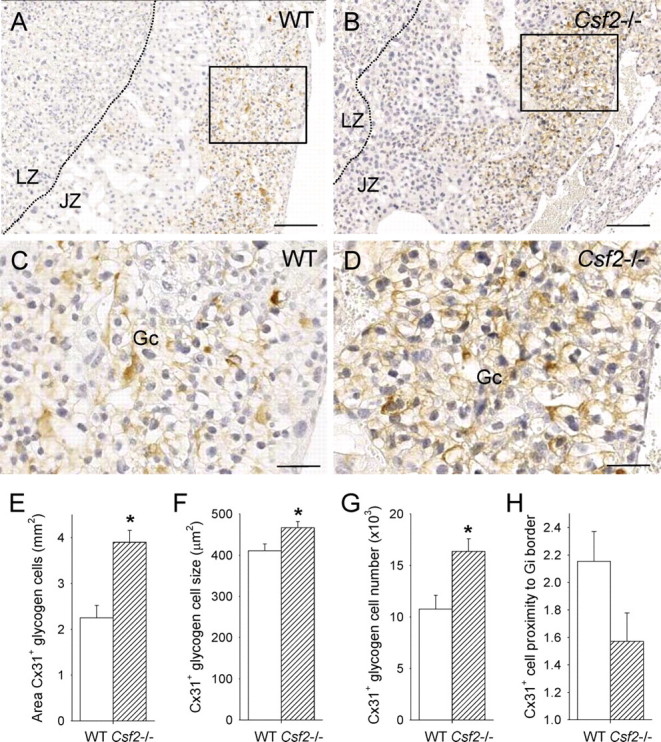 FIG. 6.