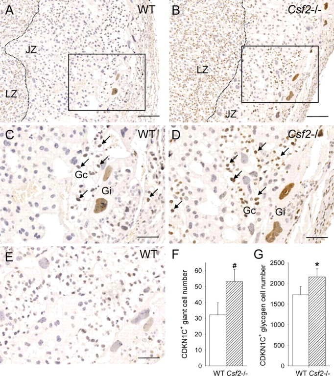 FIG. 7.