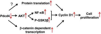 Figure 7.