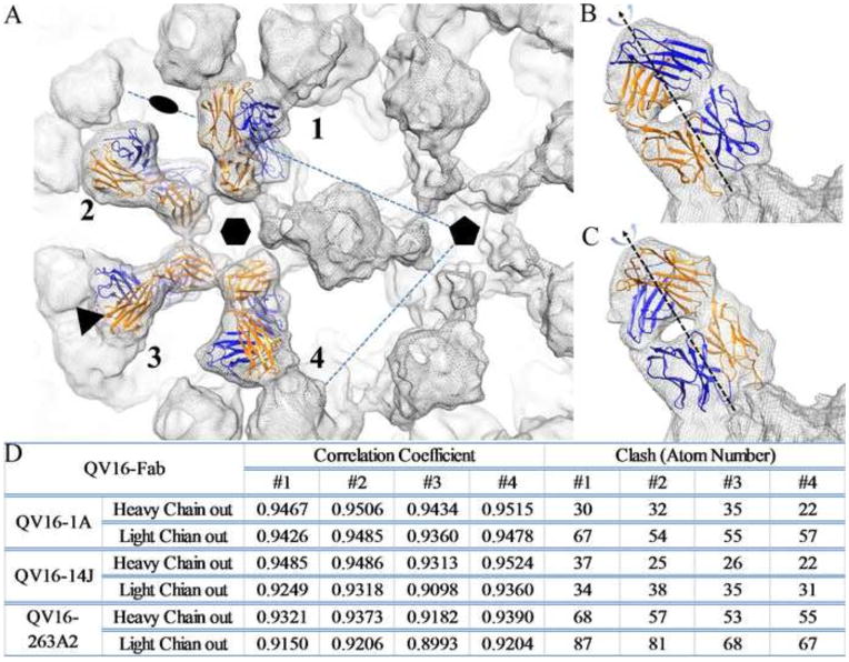 FIGURE 3