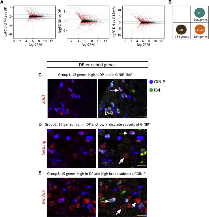 Figure 2