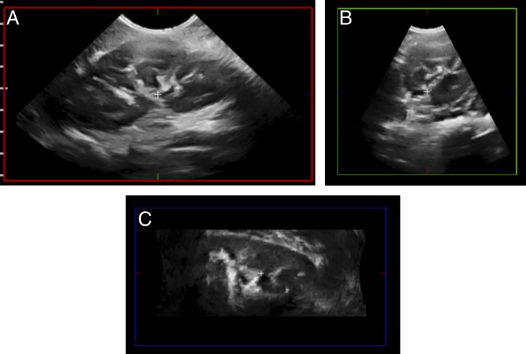 FIGURE 4