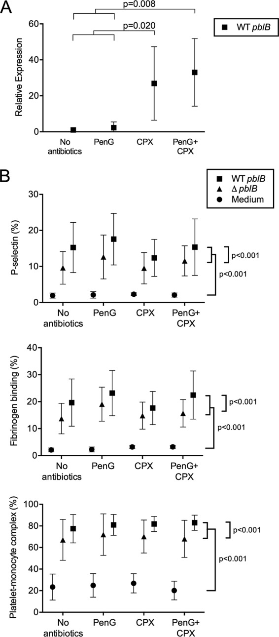 FIG 3 