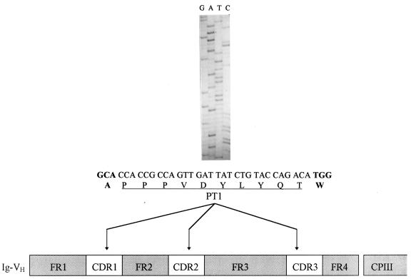 FIG. 1