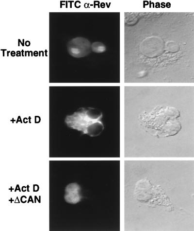 FIG. 6