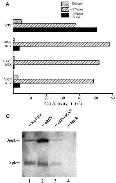 FIG. 5