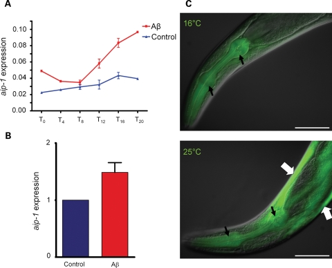 Figure 1.