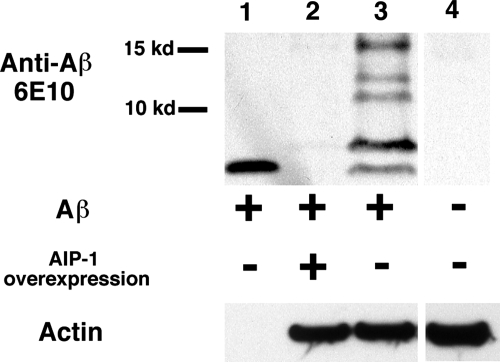 Figure 3.