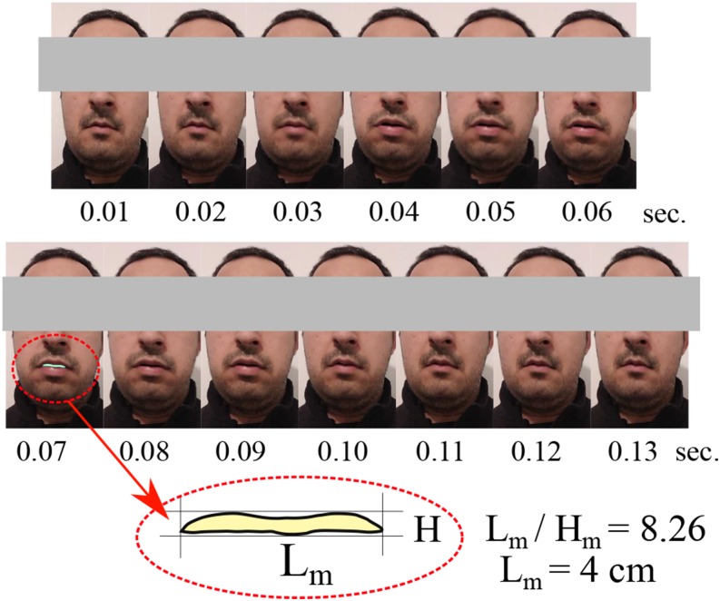 FIG. 2.