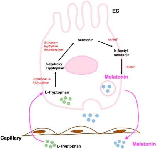 Figure 13