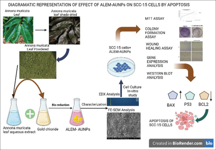 Figure 10