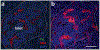 Fig. 2.3