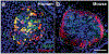 Fig. 2.4