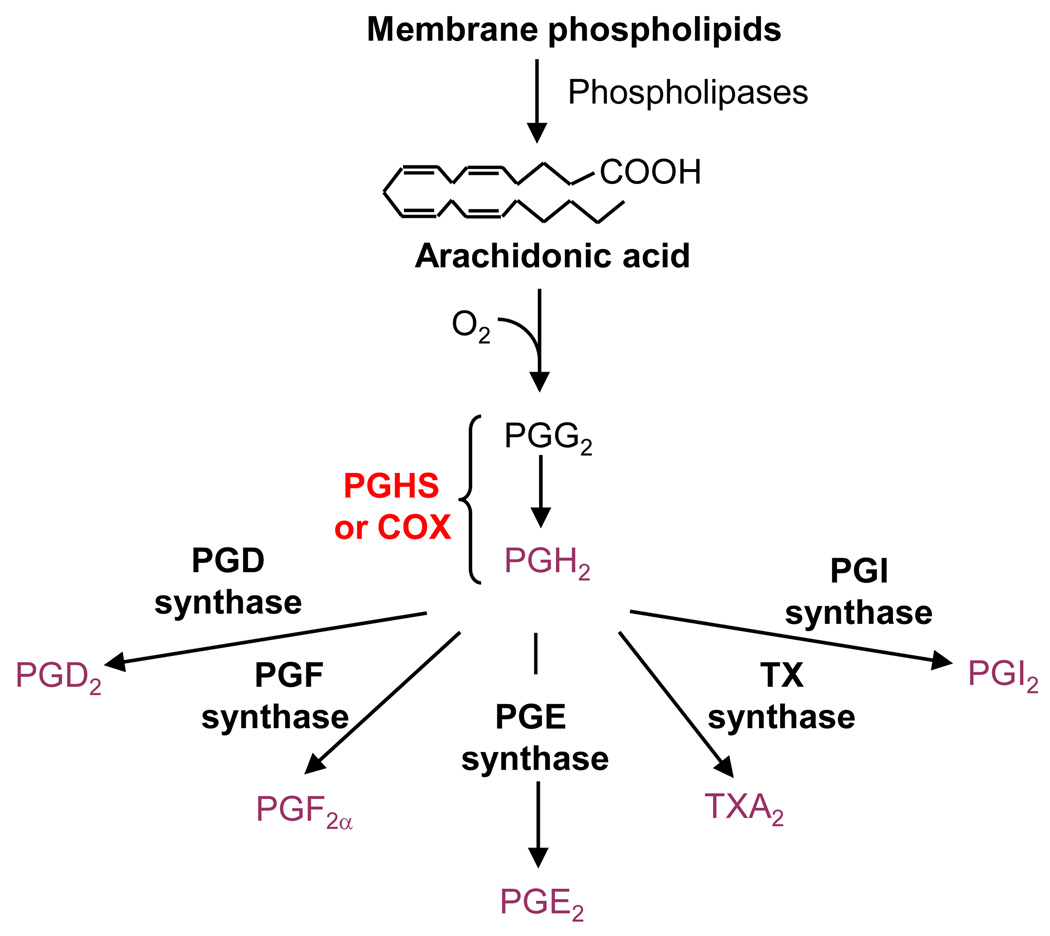 Figure 1 of Box 1