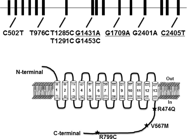 Fig. 1.