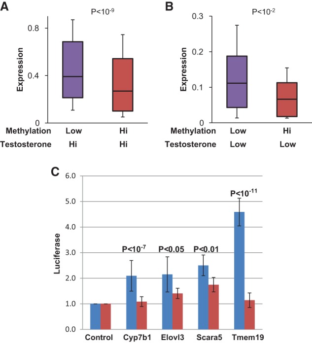 Figure 5.