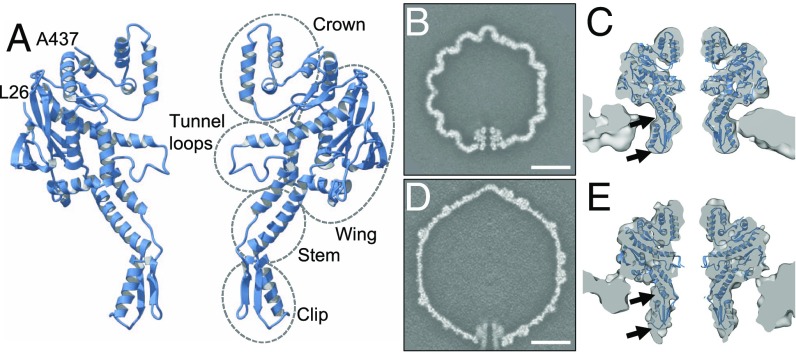 Fig. 5.