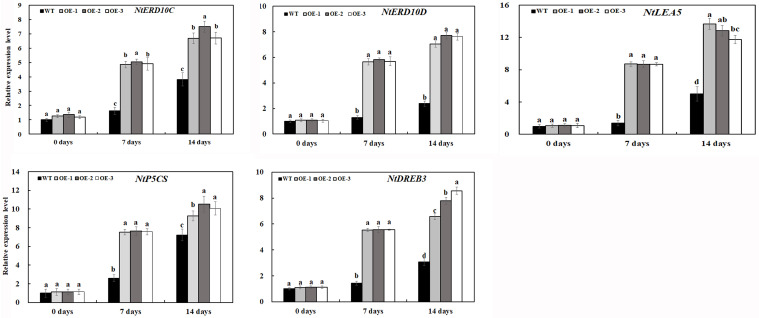 FIGURE 9