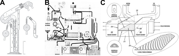 graphic file with name JEM_20201756_Fig2.jpg