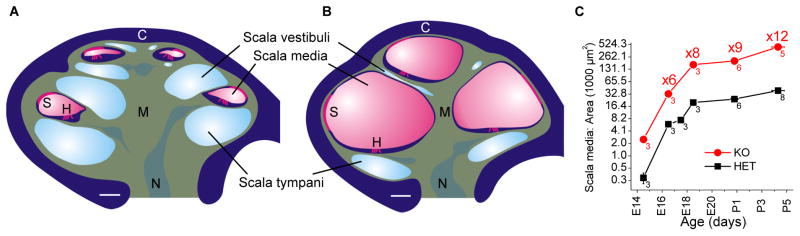 Fig 3