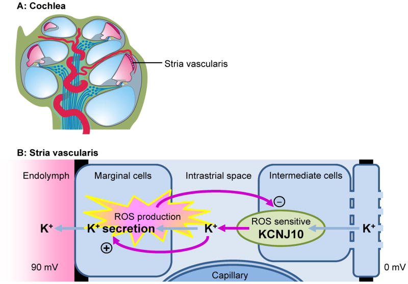 Fig 4