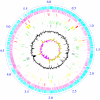 Fig. 1.