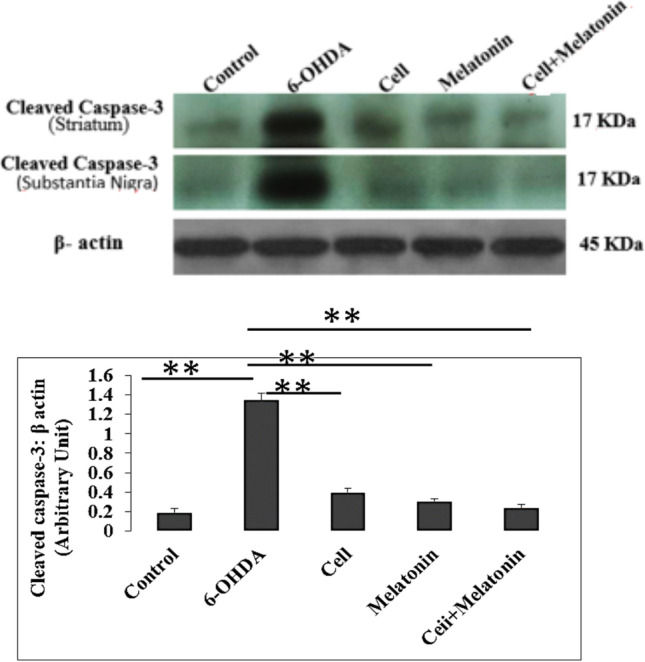 Fig.3