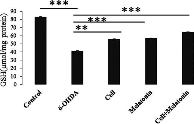 Fig.4