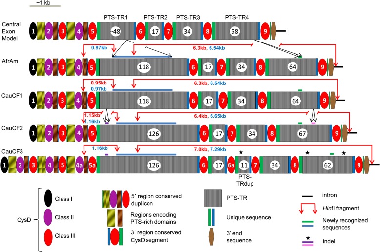 Figure 3.