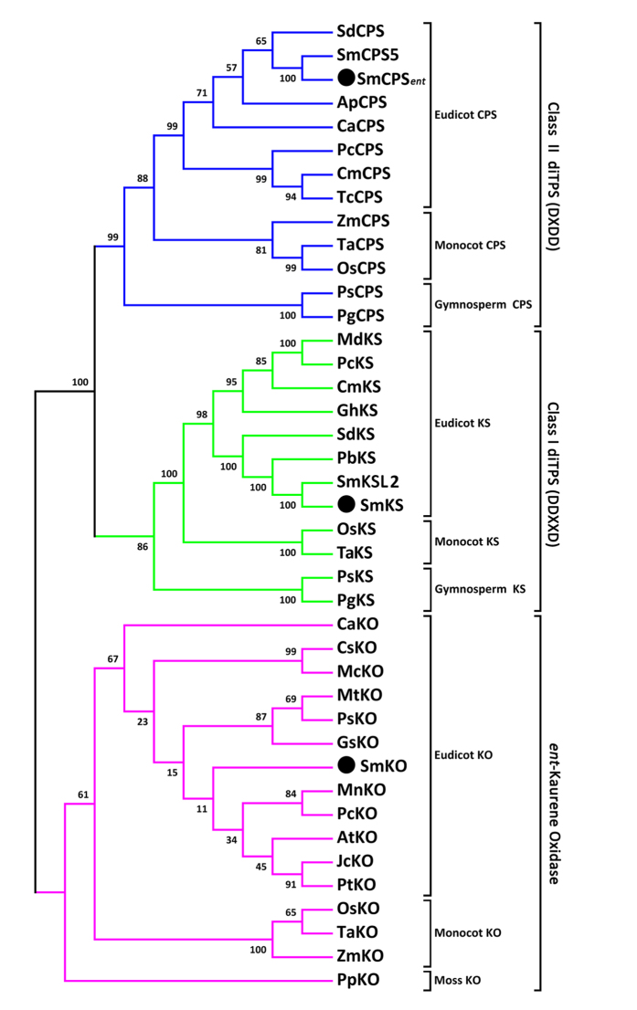 Figure 2