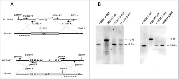 Figure 4.