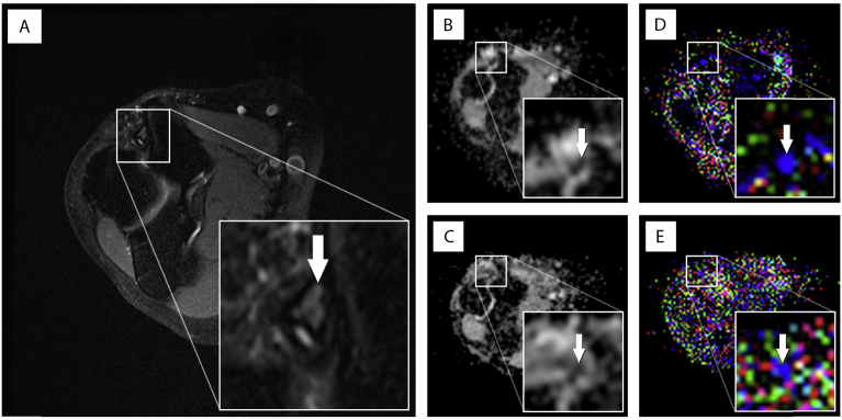 Fig. 2