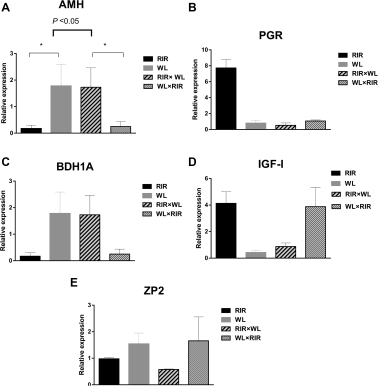 Figure 3