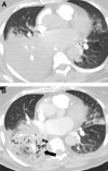 Fig. 8