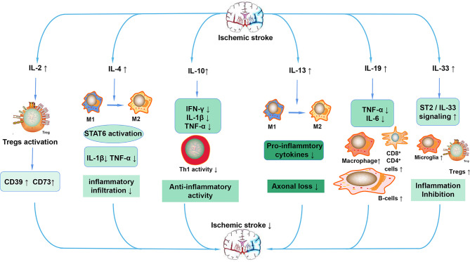 Figure 5