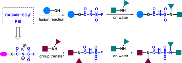 graphic file with name nihms-1864208-f0001.jpg