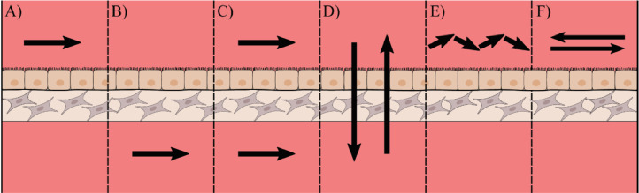 Fig 8