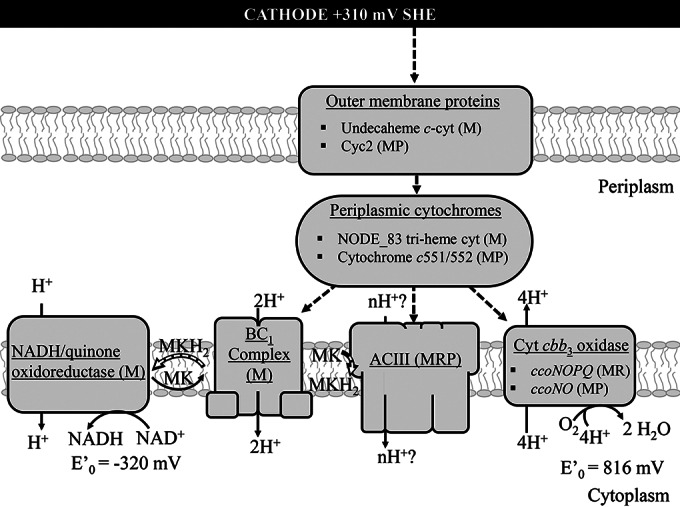 FIG 3