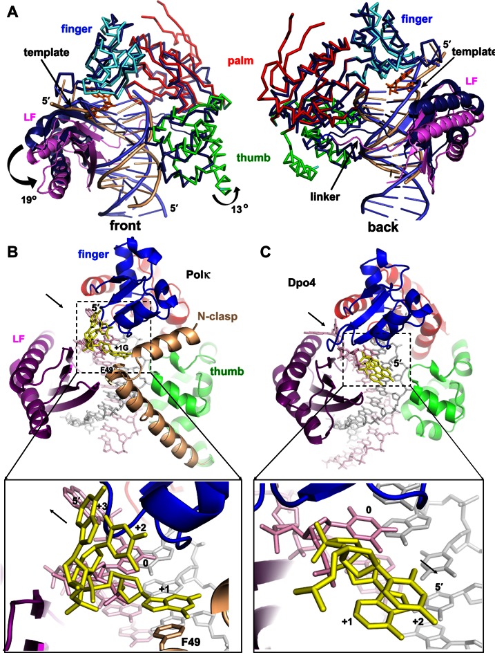 Figure 5.