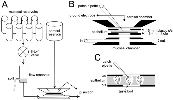 Fig. 2.