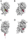 FIGURE 2.