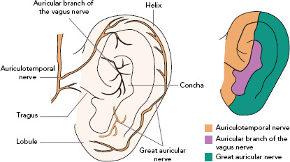 Figure 2: