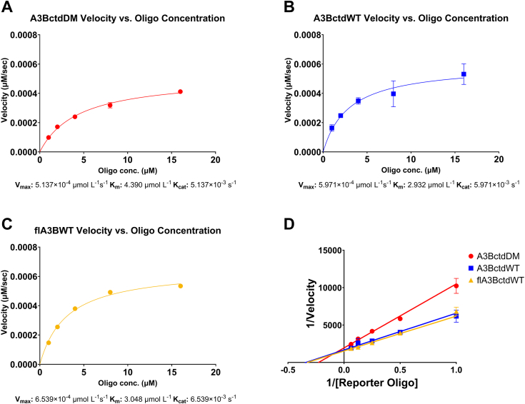 Figure 3