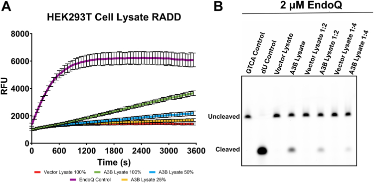 Figure 6