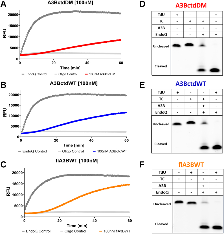 Figure 2