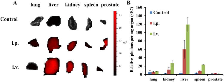 Figure 10