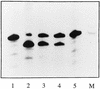 FIG. 5