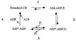 Scheme 3