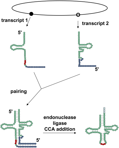 Figure 3.