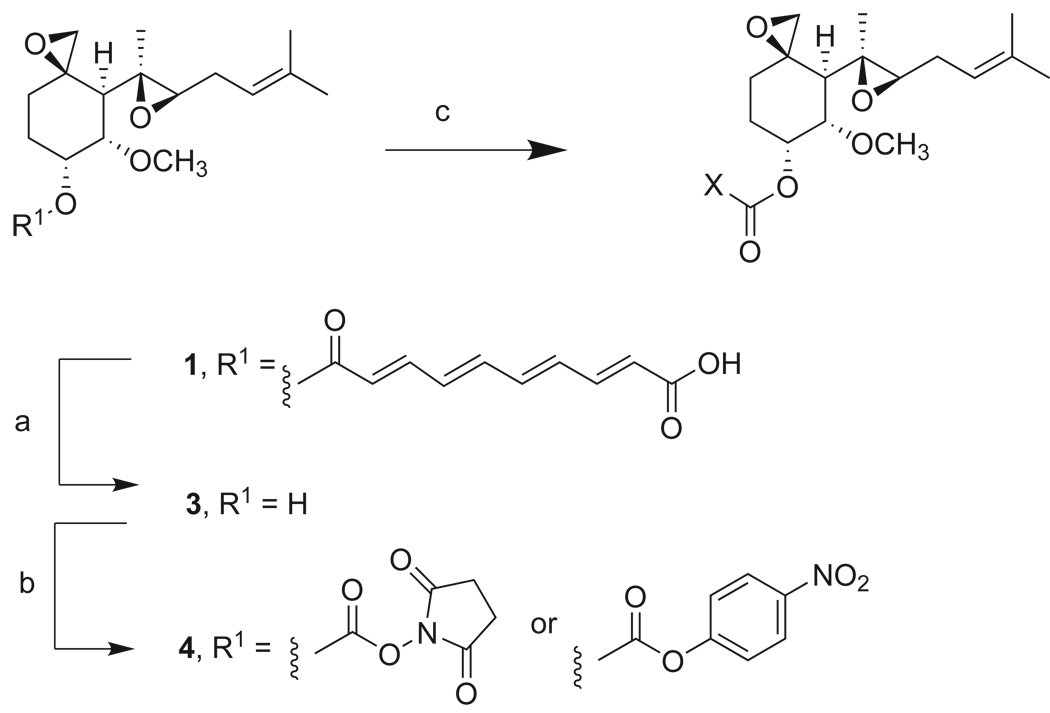 Scheme 1